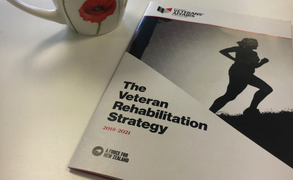 The Veteran Rehabilitation Strategy document