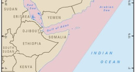 OPTahi Image.001 (1)